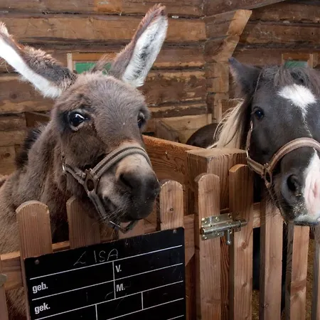 Der Unterschwarzachhof 4* Saalbach-Hinterglemm
